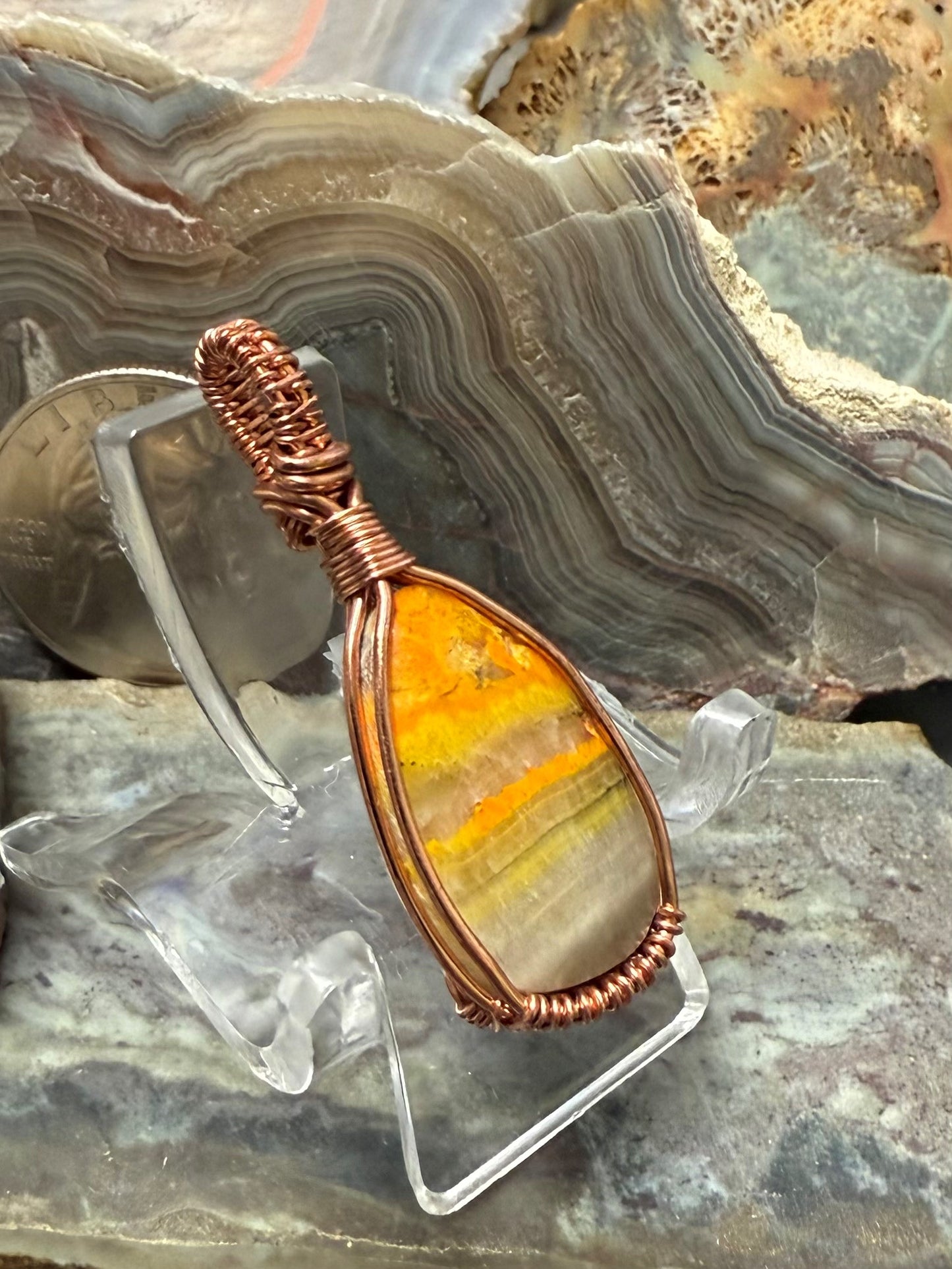 Bumblebee Jasper