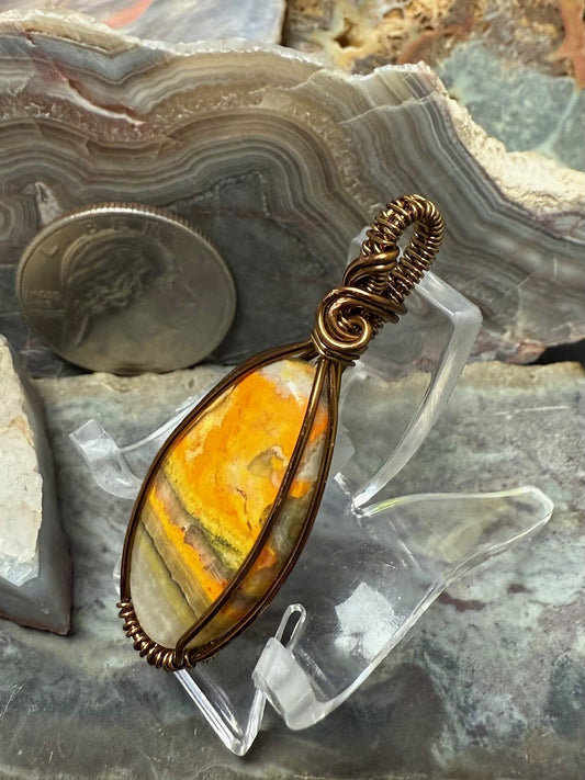 Bumblebee Jasper